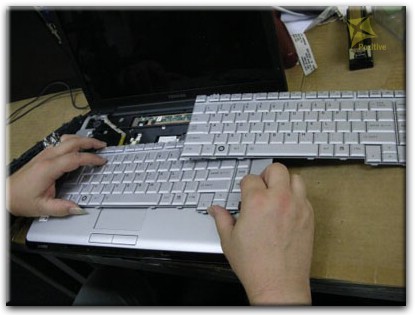 Ремонт клавиатуры на ноутбуке Toshiba в Новосибирске